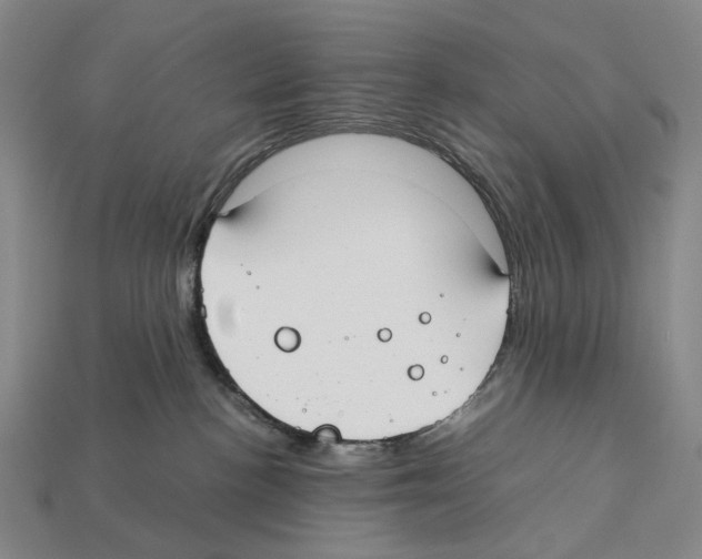 X0000112410188200909251503