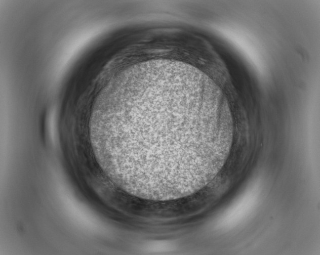 X0000112410189200909251503
