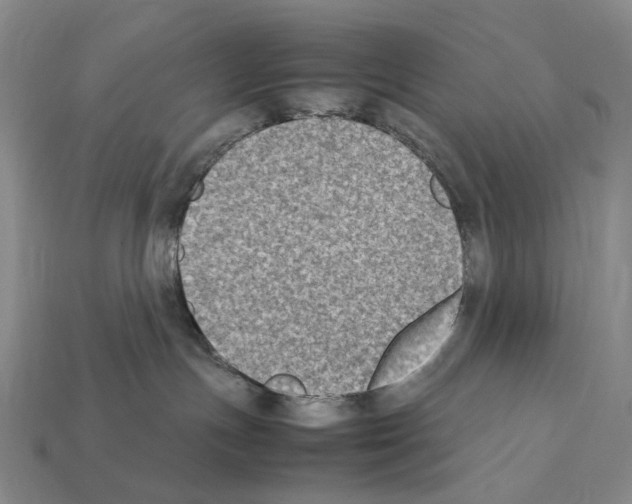 X0000112410191200909251503
