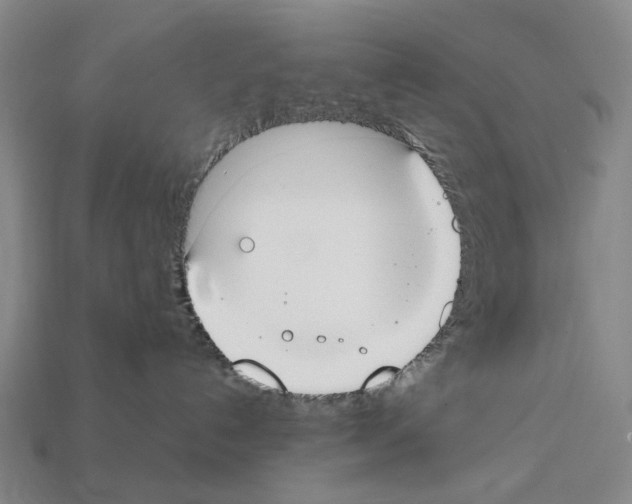 X0000112410192200909251503