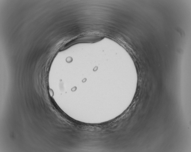 X0000112410193200909251502