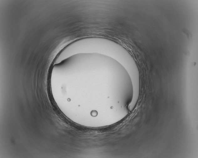 X0000112410195200909251502