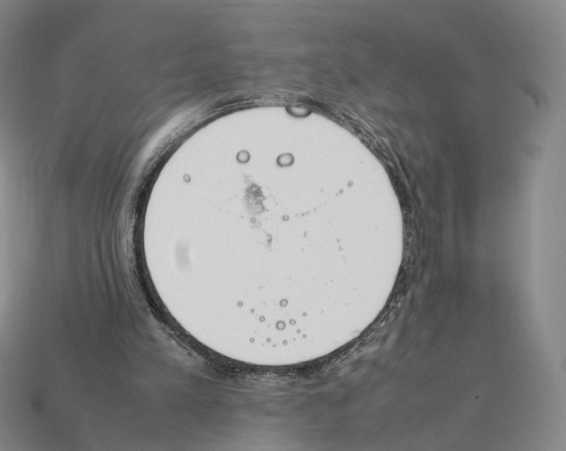 X0000112410197200909251502
