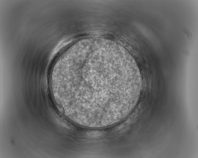 X0000112410198200909251502