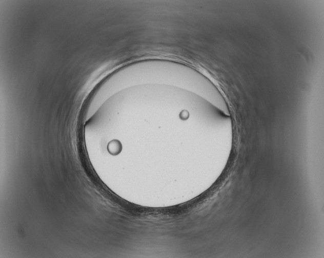 X0000112410199200909251502
