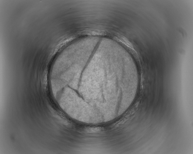X0000112410202200909251502