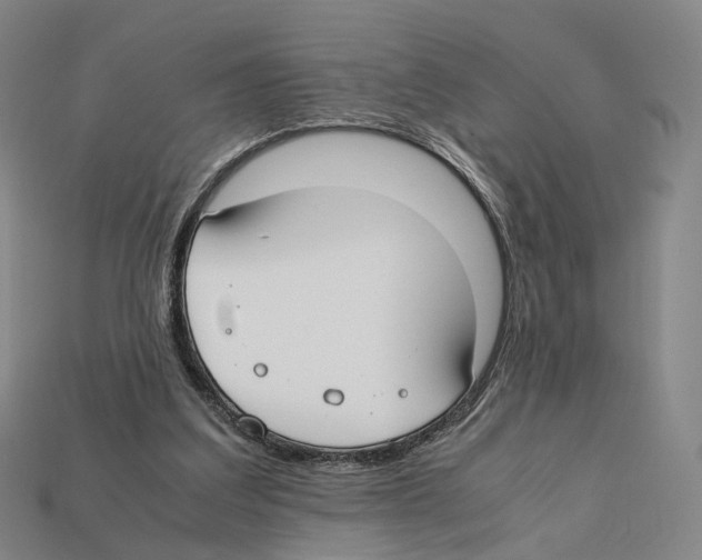 X0000112410203200909251502