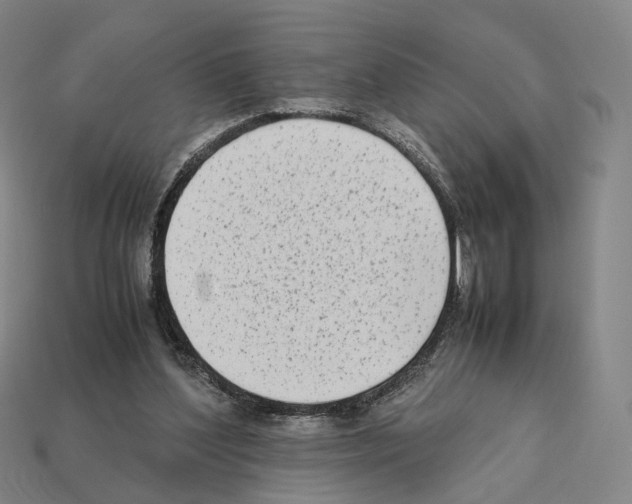 X0000112410204200909251502