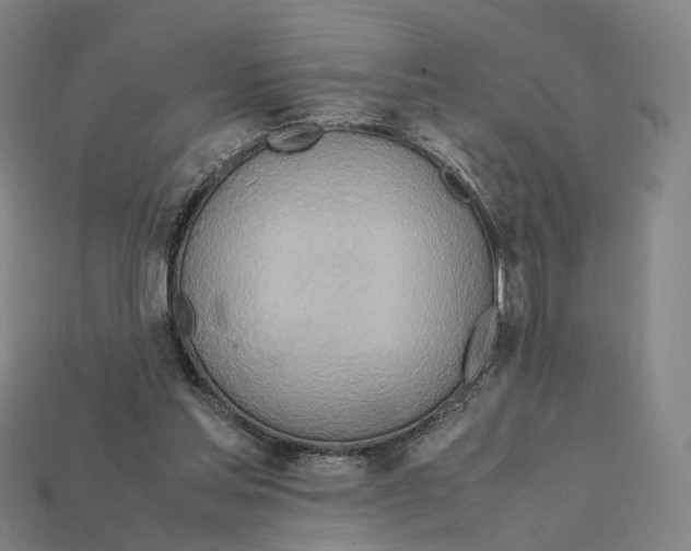 X0000112410205200909251502