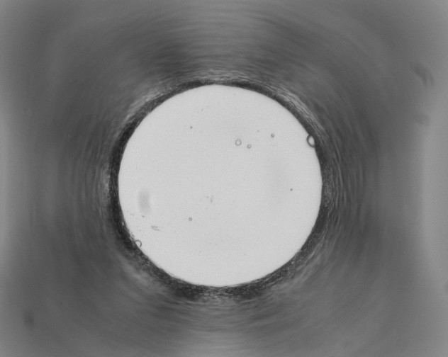 X0000112410207200909251502