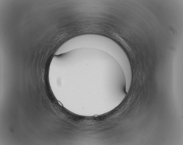 X0000112410209200909251502