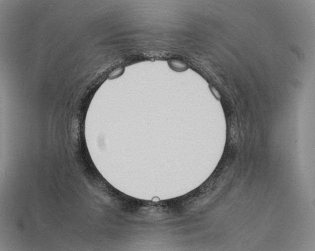 X0000112410211200909251502