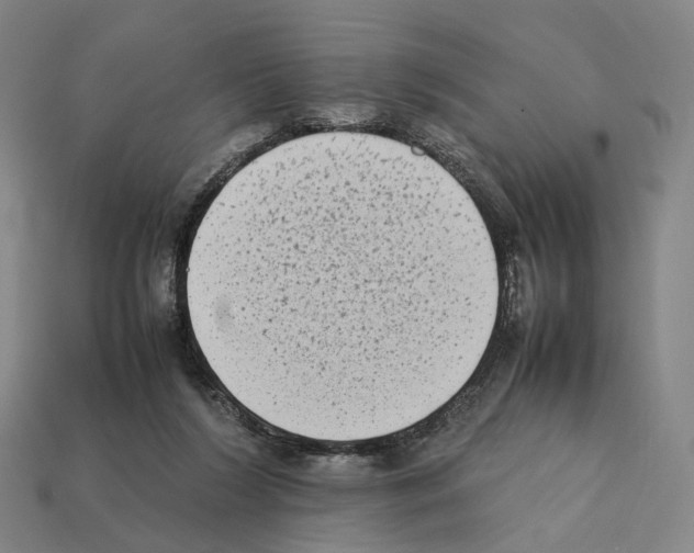 X0000112410212200909251502