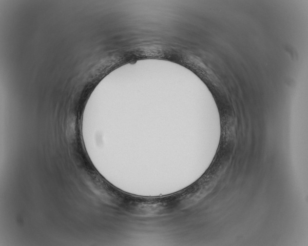 X0000112410213200909251502