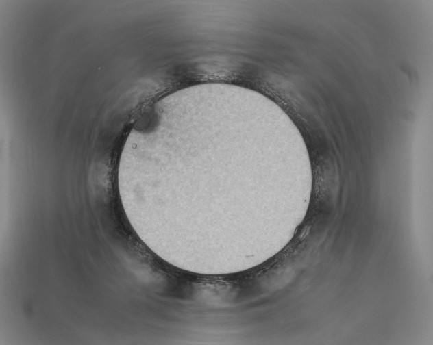 X0000112410215200909251502