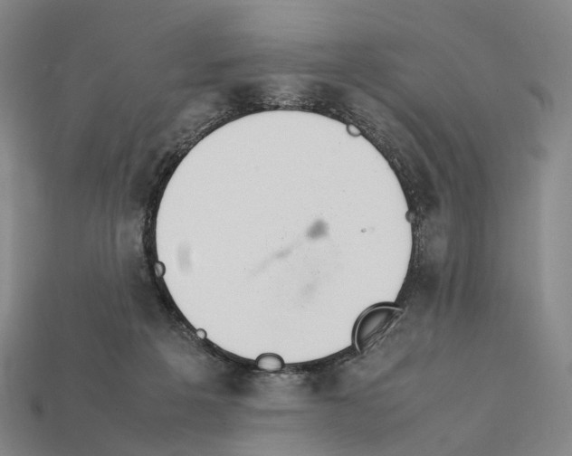 X0000112410217200909251502