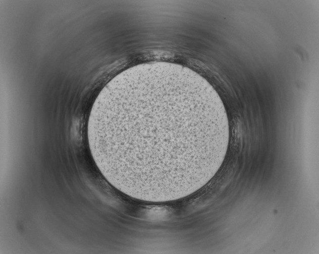 X0000112410218200909251502