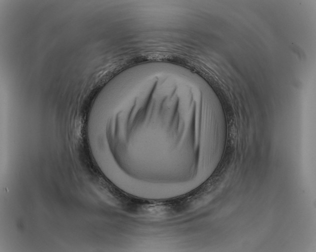 X0000112410219200909251502