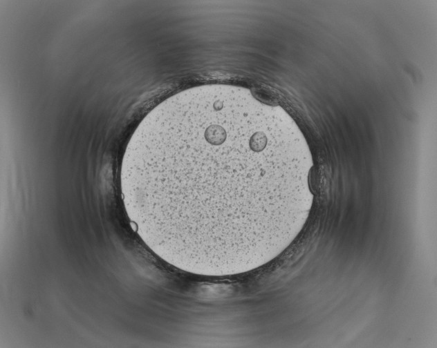 X0000112410220200909251502