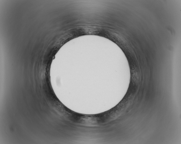 X0000112410221200909251502