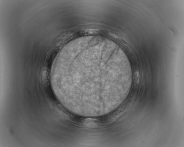 X0000112410222200909251502