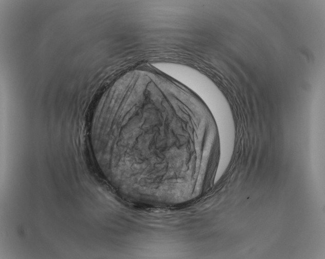 X0000112410223200909251502