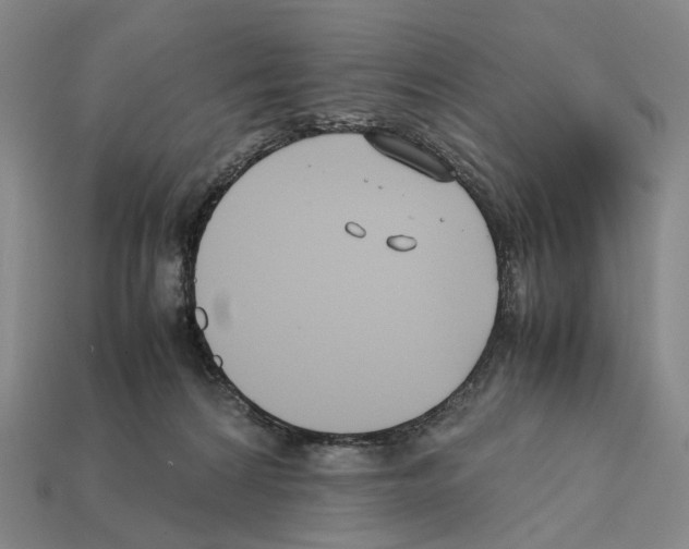 X0000112410224200909251502