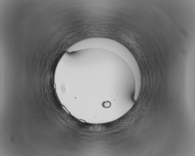 X0000112410225200909251502