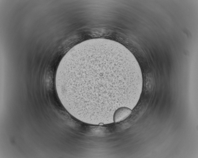 X0000112410226200909251502