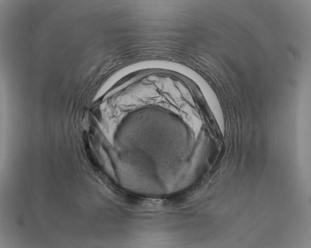 X0000112410227200909251502