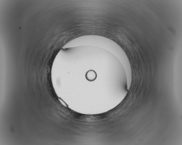 X0000112410229200909251502