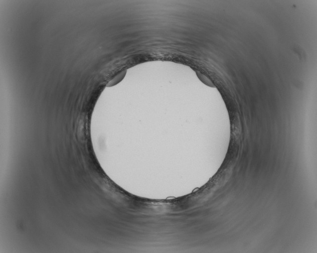 X0000112410233200909251502