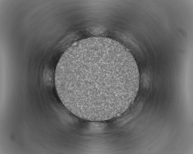 X0000112410234200909251502