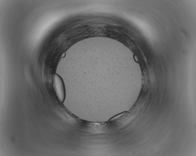 X0000112410239200909251502
