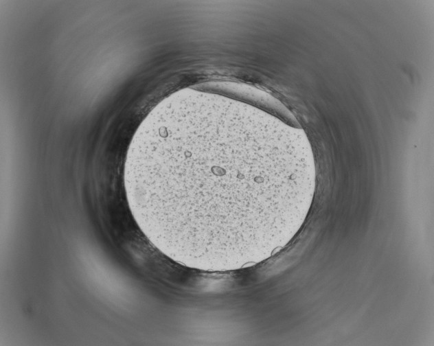 X0000112410240200909251502