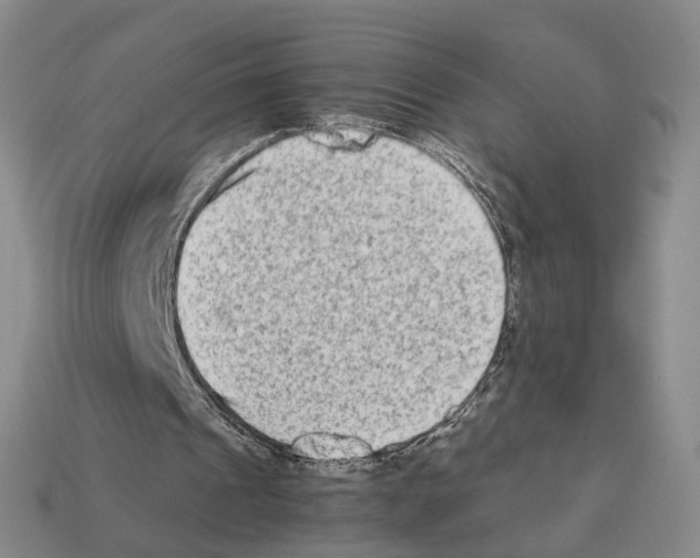 X0000112410241200909251501