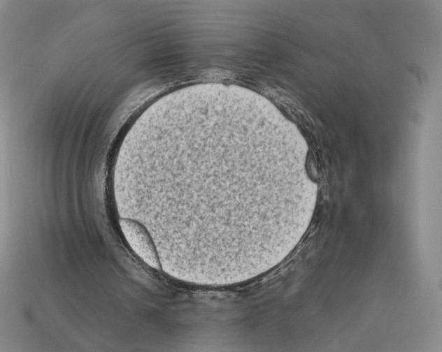 X0000112410242200909251501