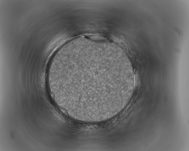 X0000112410243200909251501