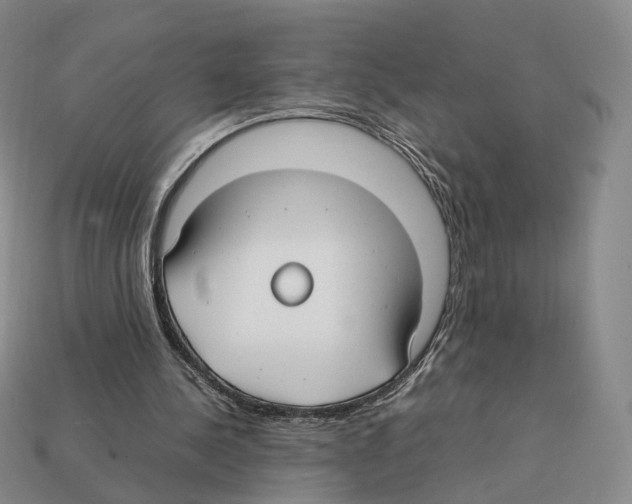 X0000112410244200909251501
