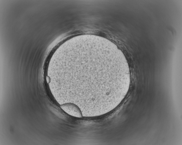 X0000112410246200909251501