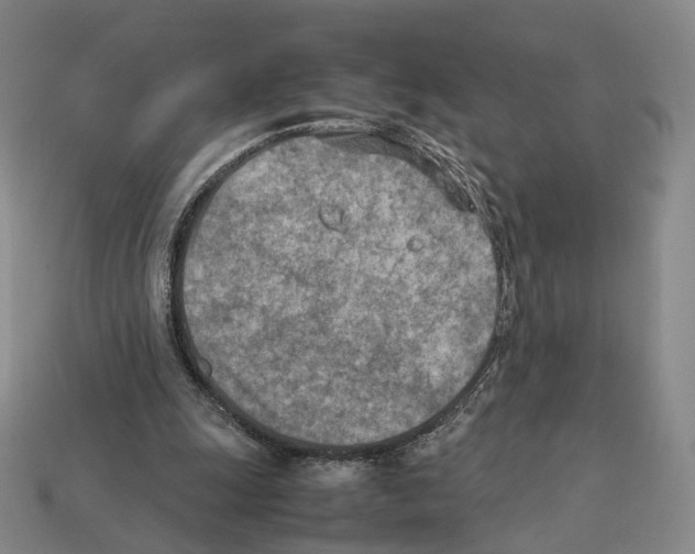 X0000112410247200909251501