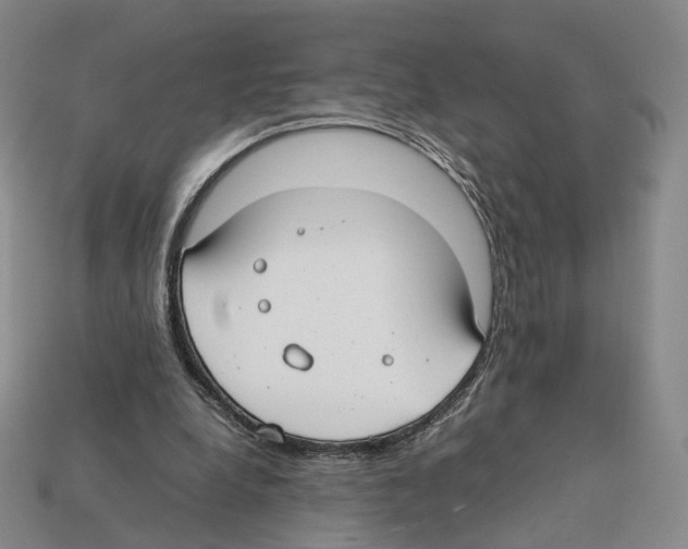 X0000112410248200909251501