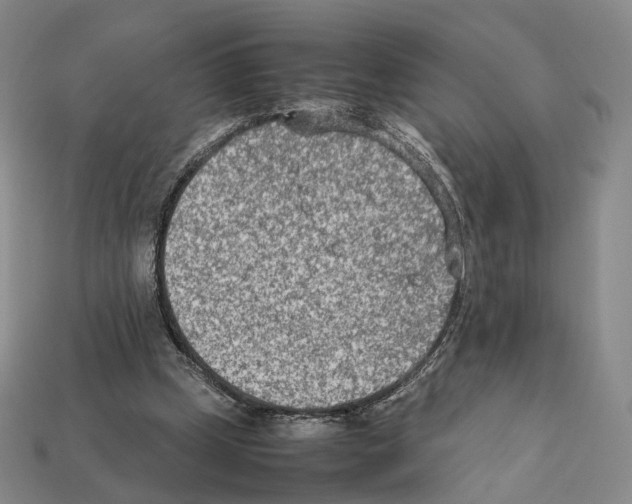 X0000112410249200909251501