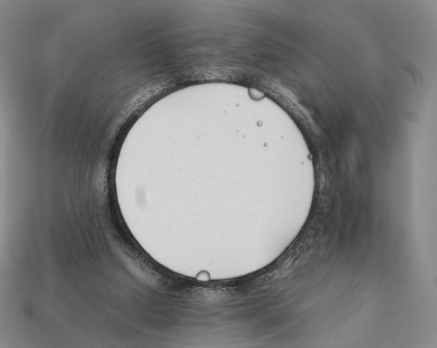 X0000112410250200909251501