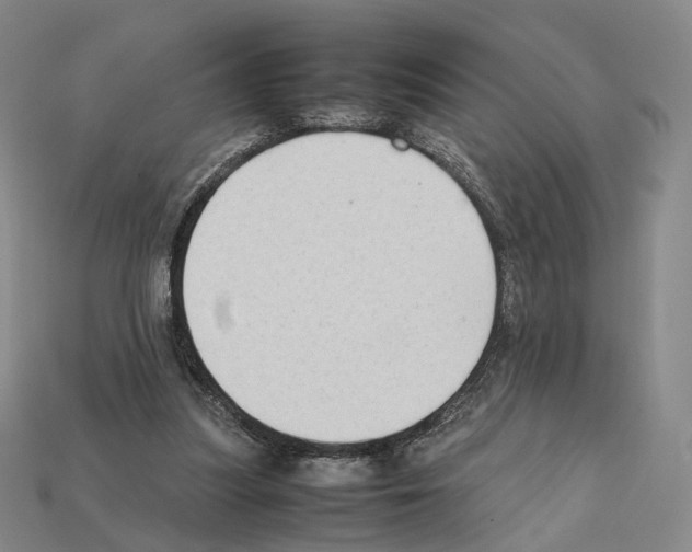 X0000112410251200909251501