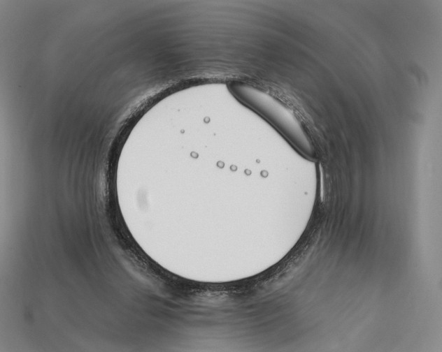 X0000112410252200909251501