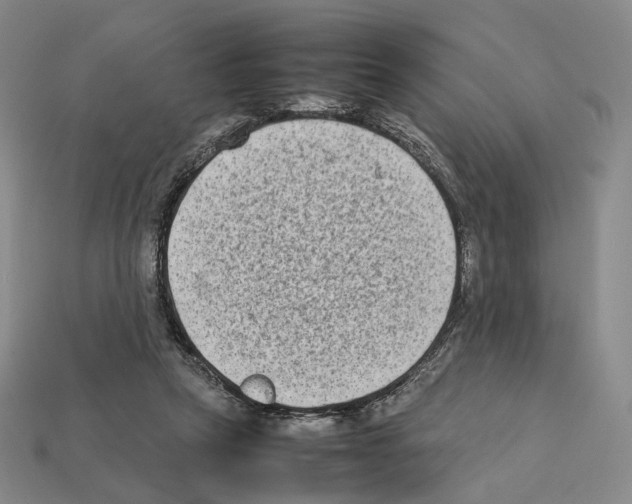 X0000112410257200909251501
