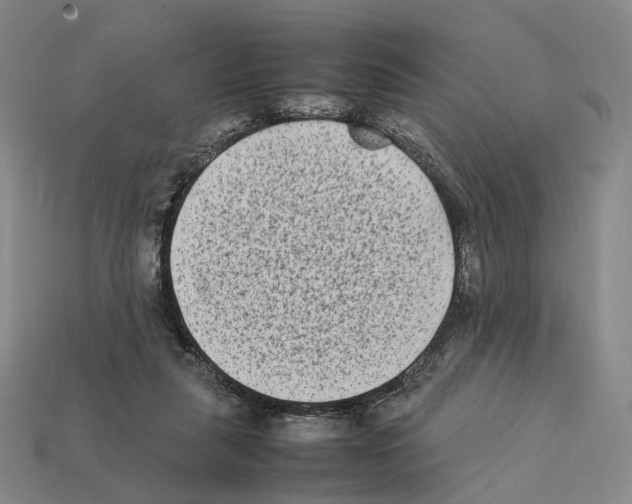 X0000112410259200909251501