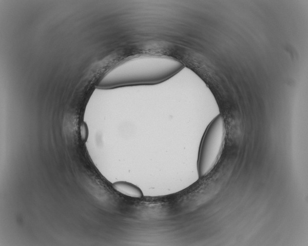 X0000112410260200909251501