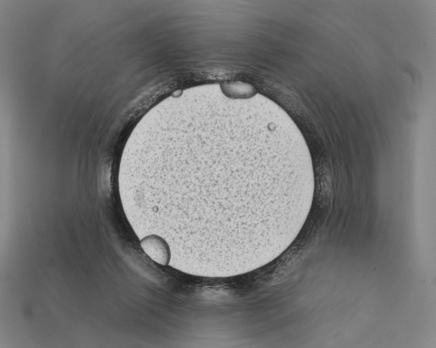 X0000112410262200909251501